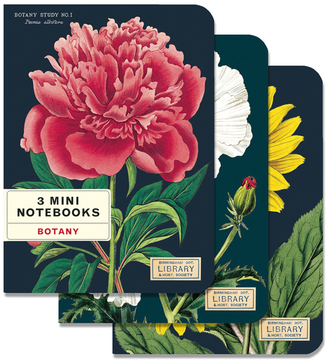 Botany Mini Notebook Set