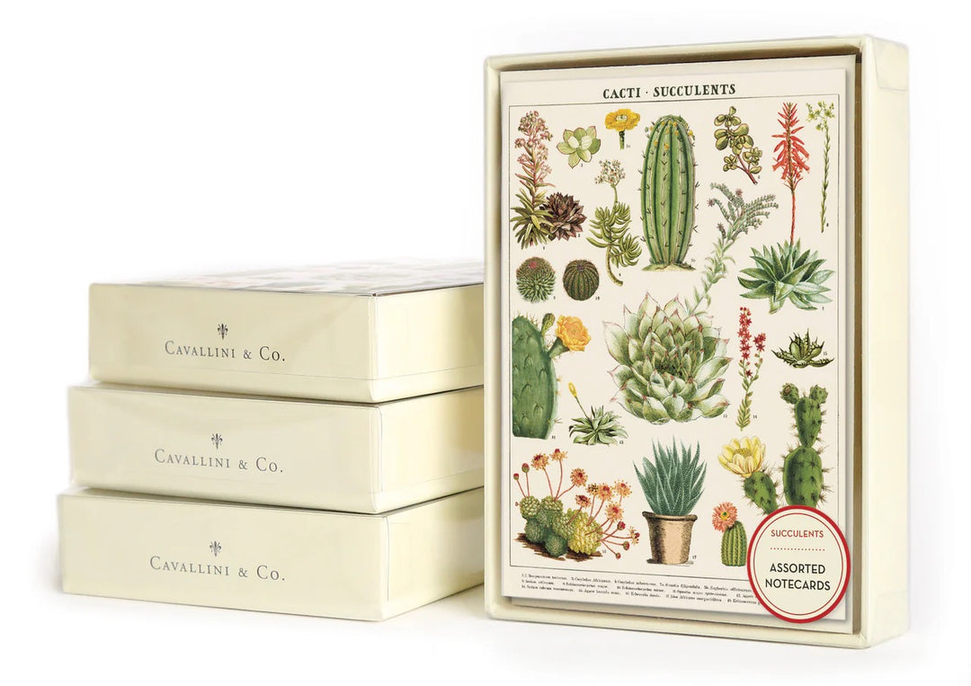 Succulents Boxed Notecards