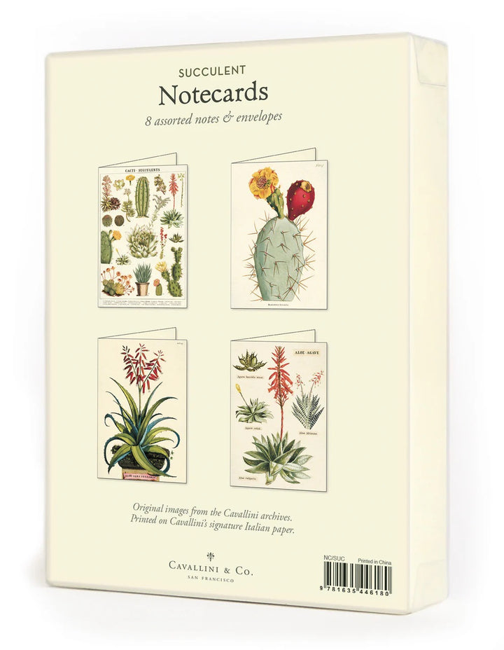 Succulents Boxed Notecards