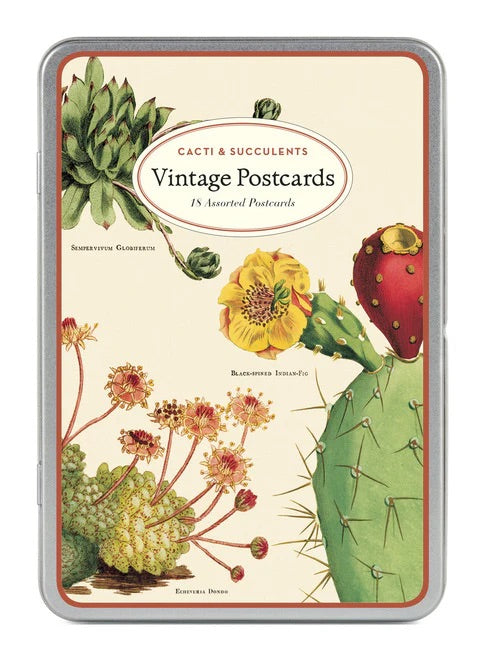 Succulents Vintage Postcard Set