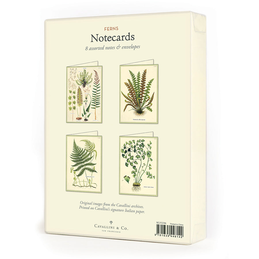 Ferns Boxed Notecards