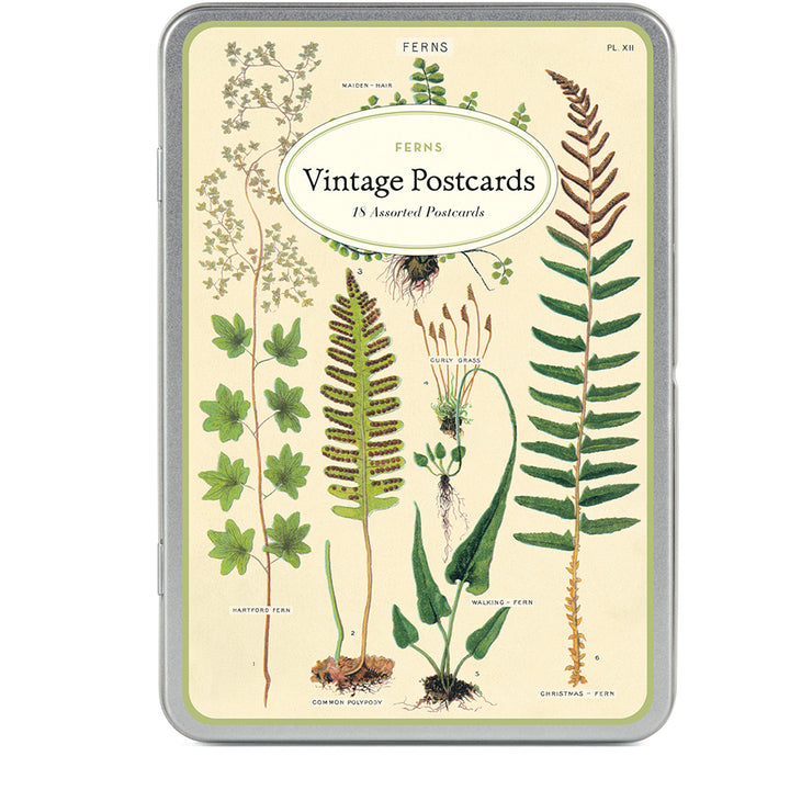 Ferns Vintage Postcard Set