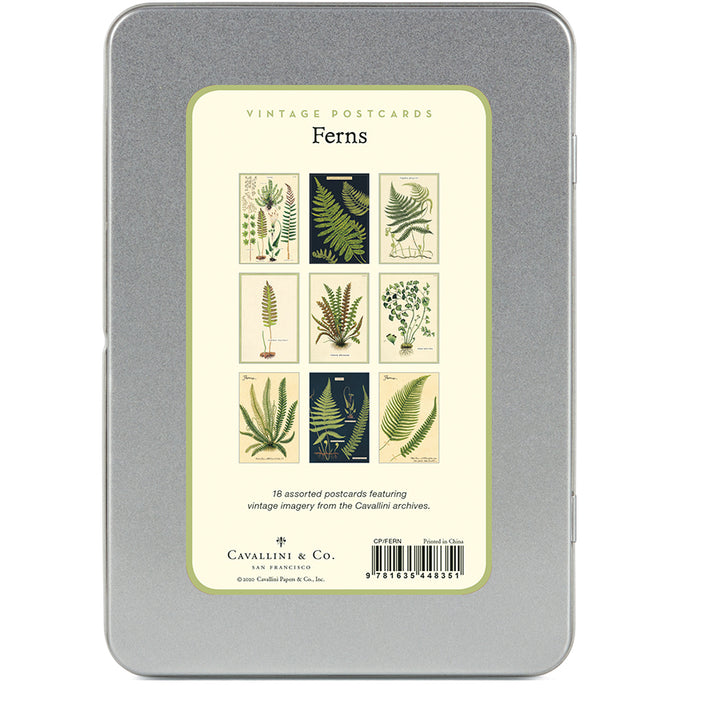 Ferns Vintage Postcard Set