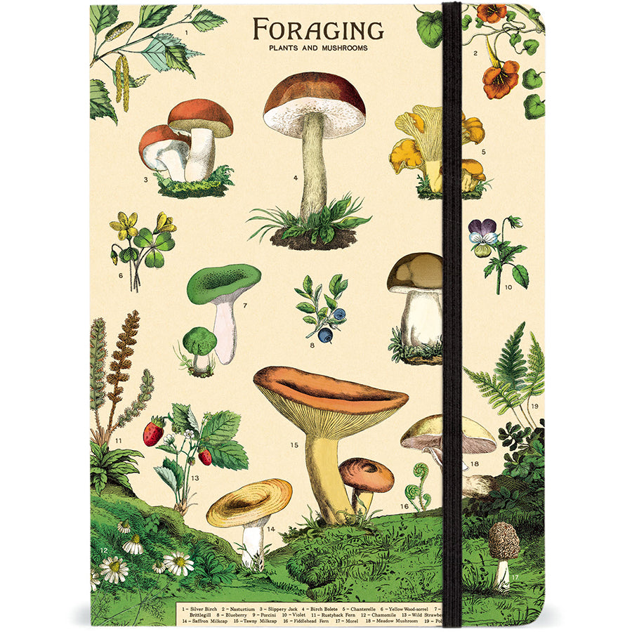 Foraging Notebook
