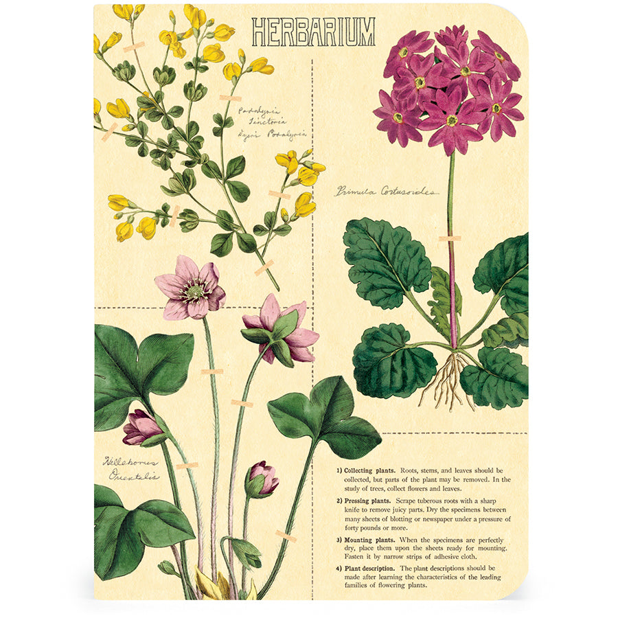 Herbarium Mini Notebook Set