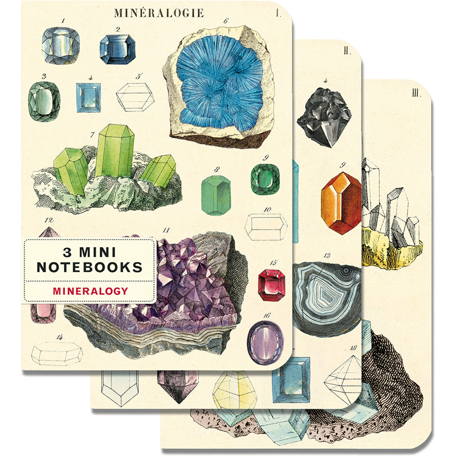 Gems & Minerals Mini Notebook Set