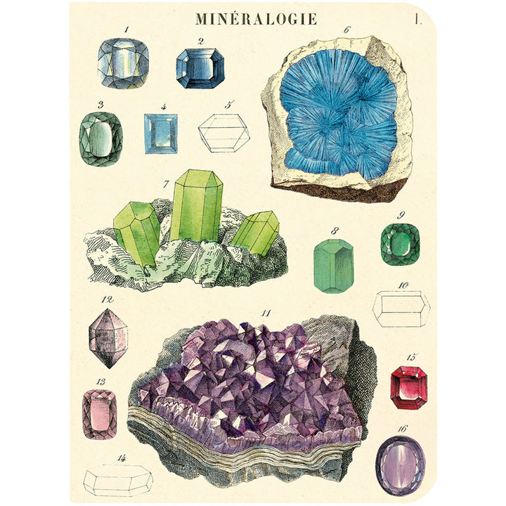 Gems & Minerals Mini Notebook Set