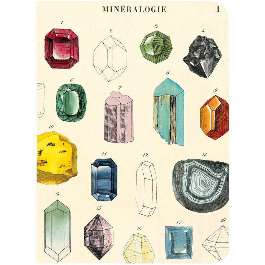 Gems & Minerals Mini Notebook Set