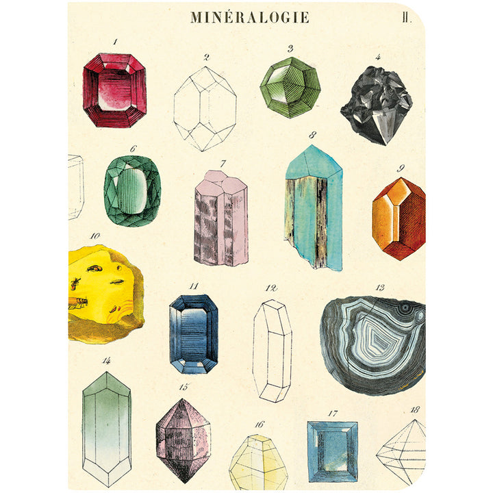 Gems & Minerals Mini Notebook Set