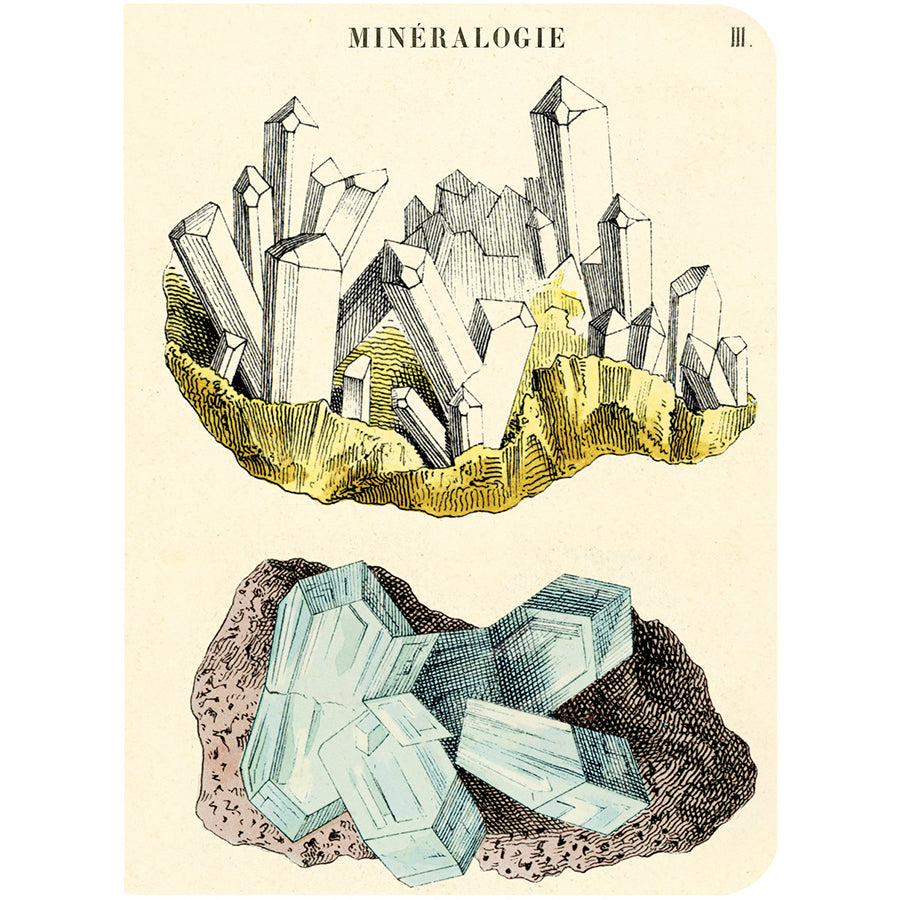 Gems & Minerals Mini Notebook Set
