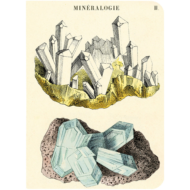 Gems & Minerals Mini Notebook Set