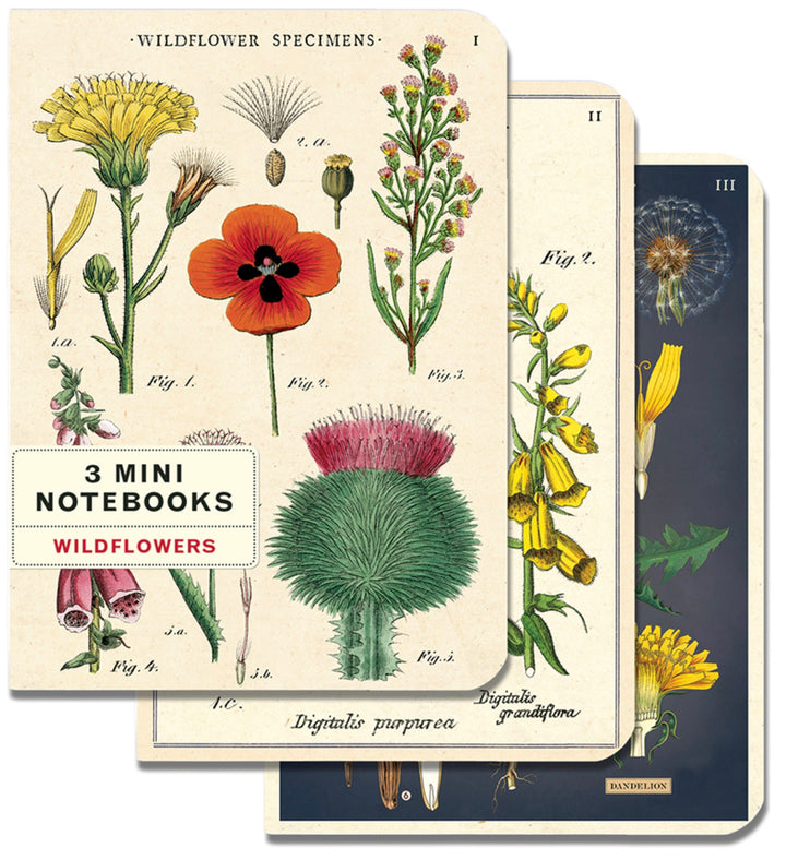 Wildflowers Mini Notebook Set