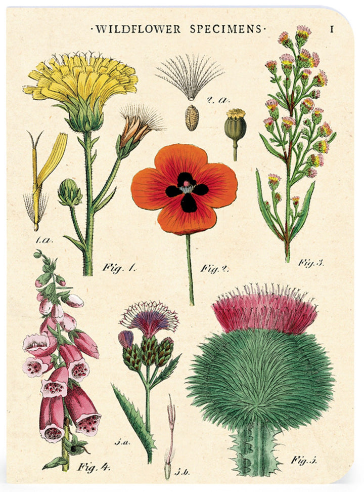 Wildflowers Mini Notebook Set