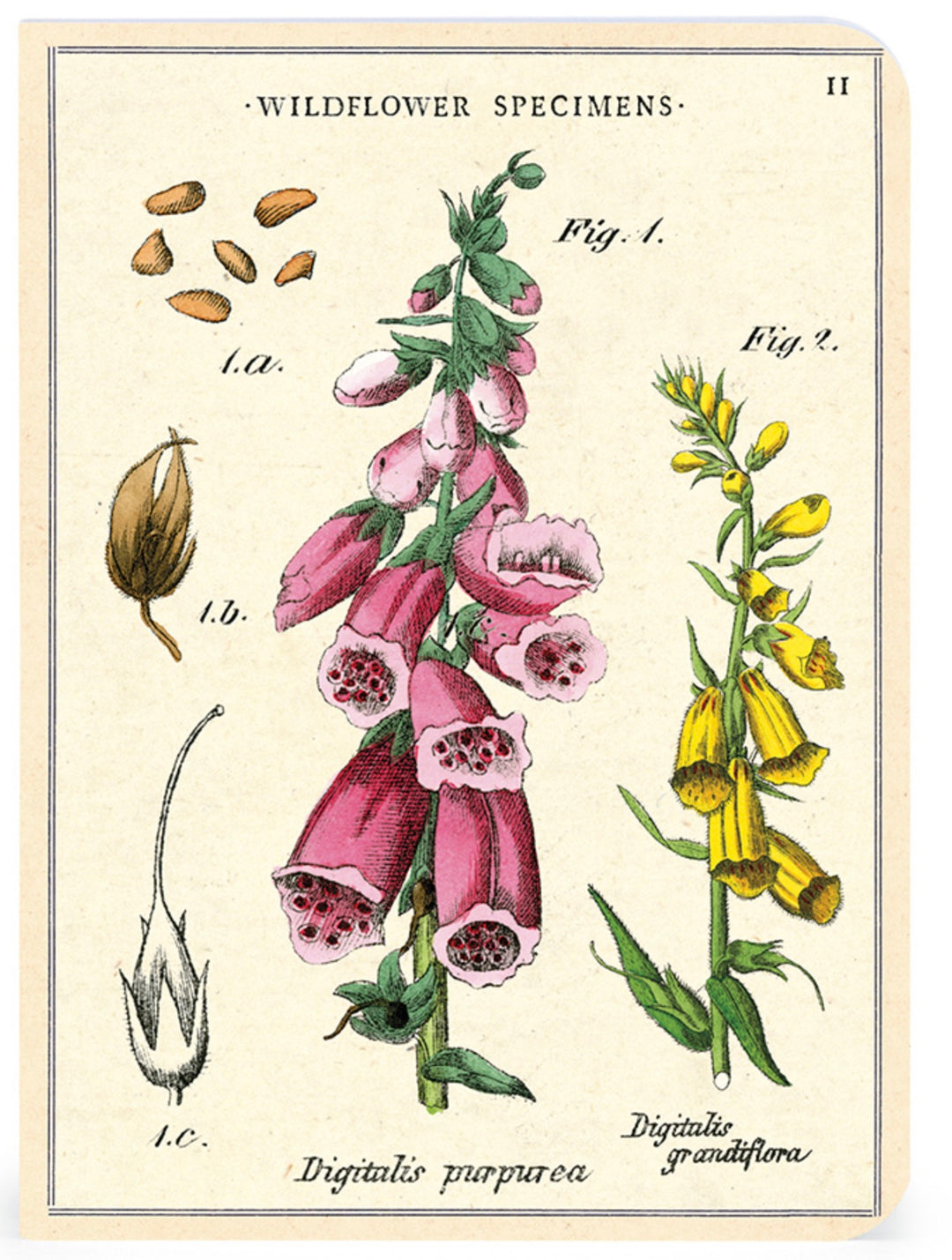 Wildflowers Mini Notebook Set
