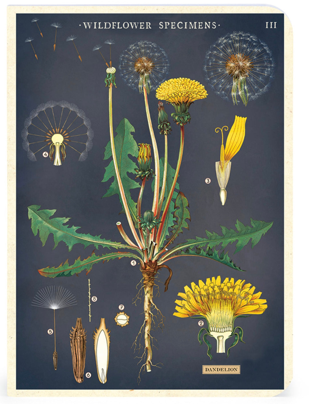 Wildflowers Mini Notebook Set