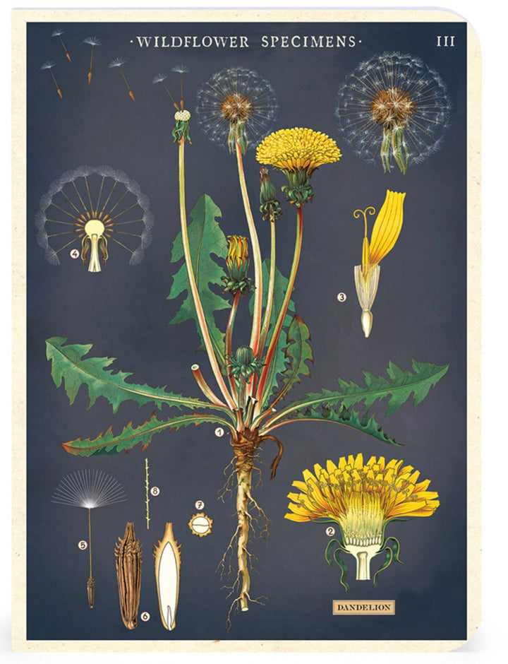 Wildflowers Mini Notebook Set