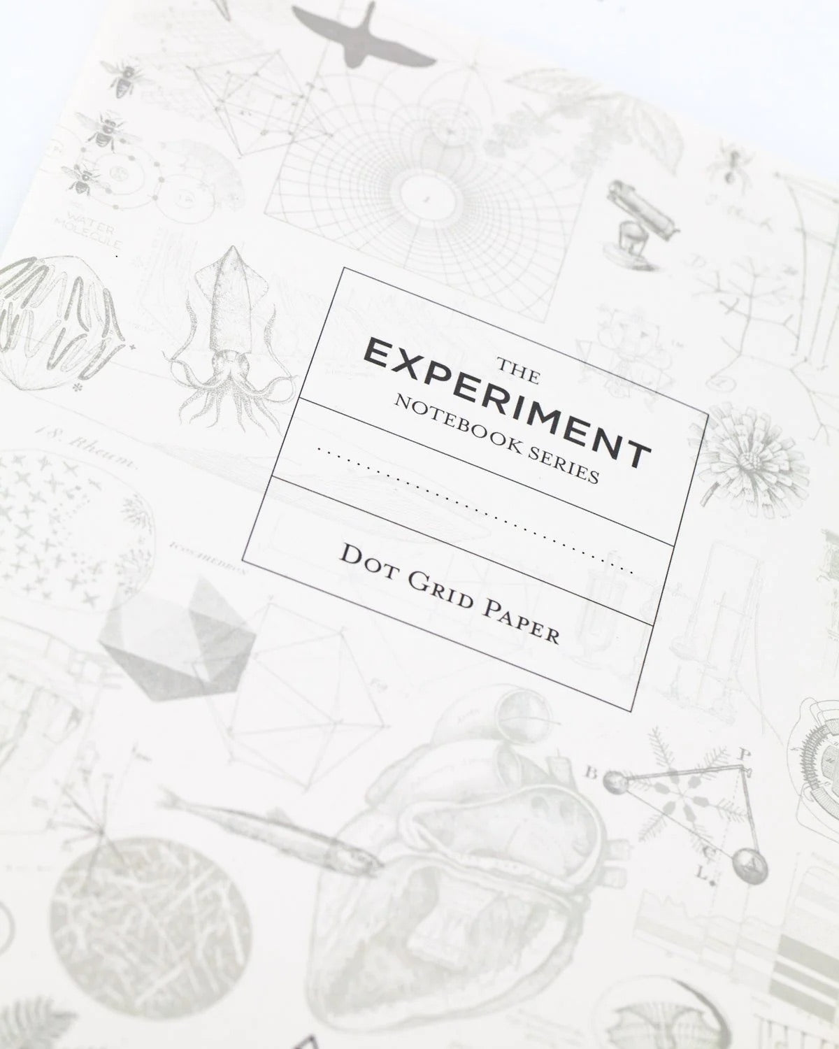 Ascending Regions Notebook