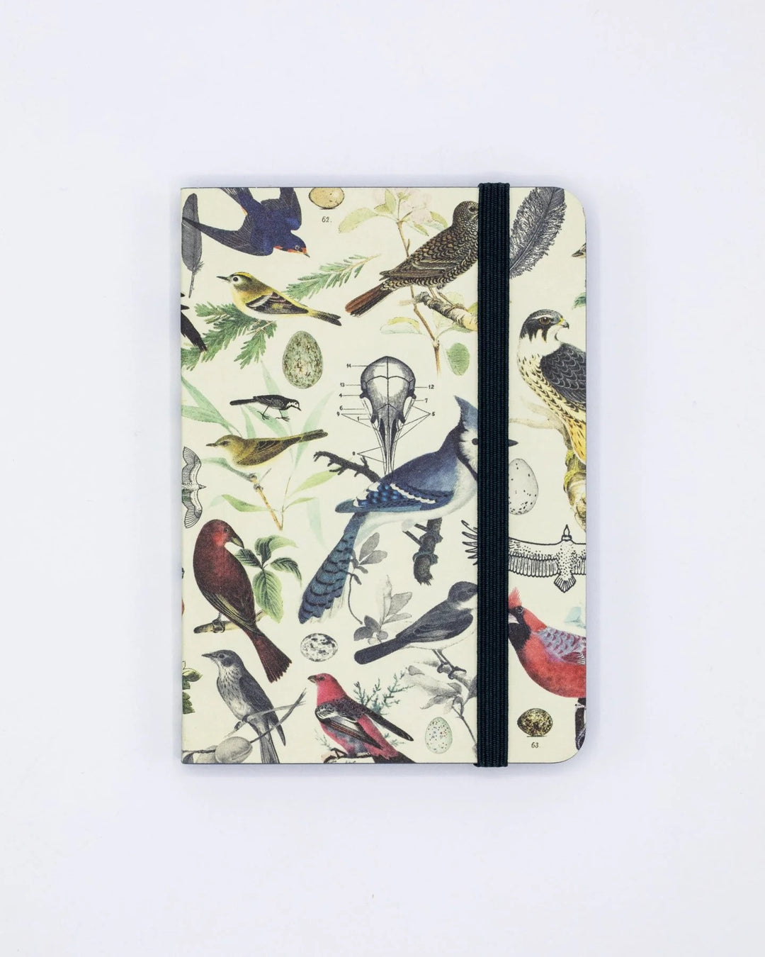 Birds & Feathers Ornithology - Mini Observation Notebook