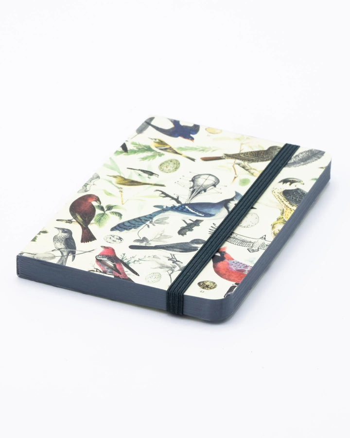 Birds & Feathers Ornithology - Mini Observation Notebook