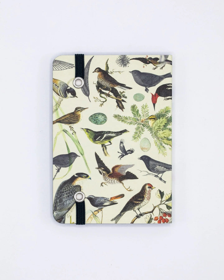 Birds & Feathers Ornithology - Mini Observation Notebook