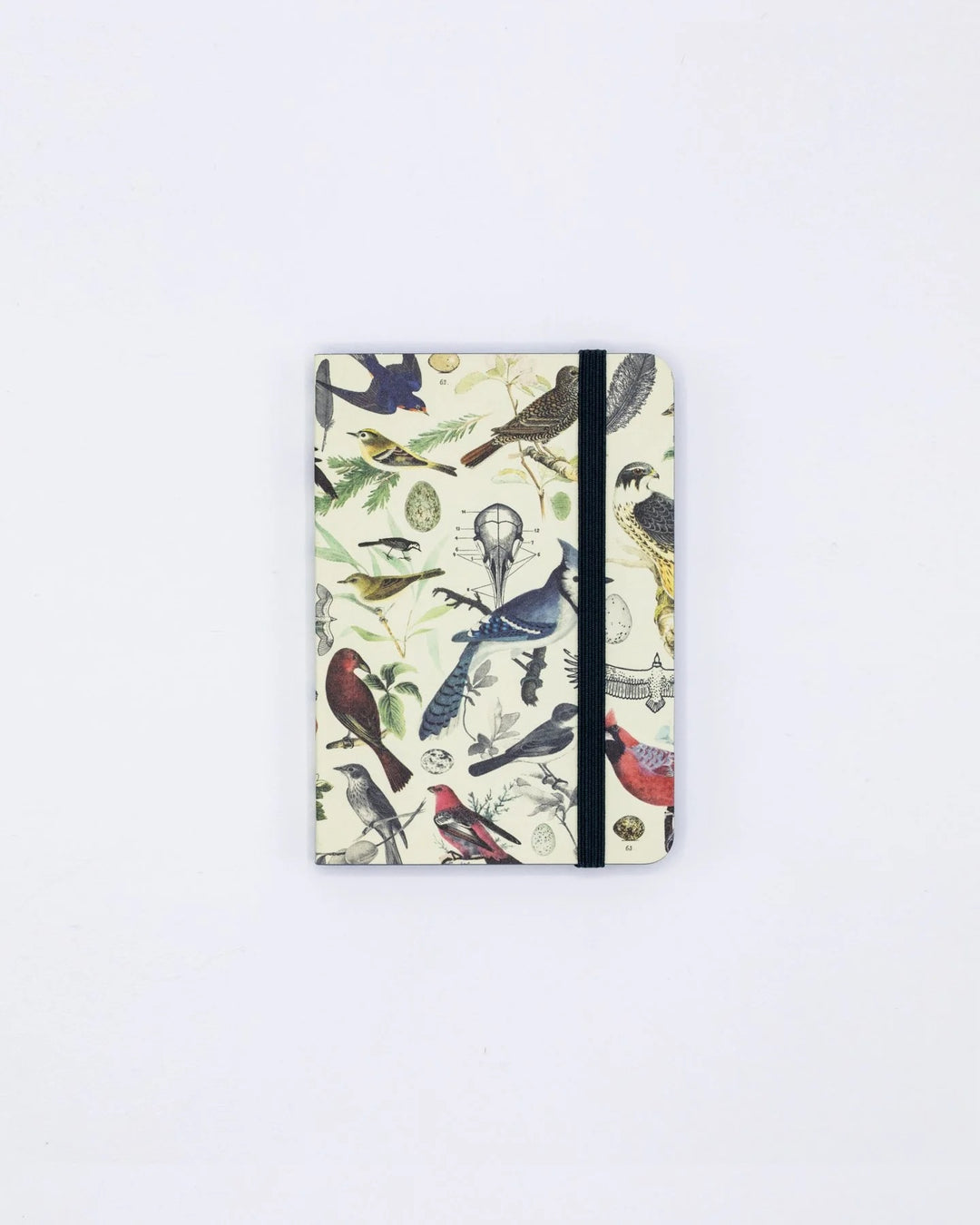 Birds & Feathers Ornithology - Mini Observation Notebook