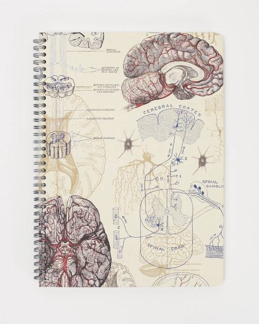 Brain & Neuroscience - Helix Spiral Journal Medium