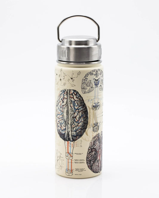 Brain & Neuroscience Water Bottle - 18 oz