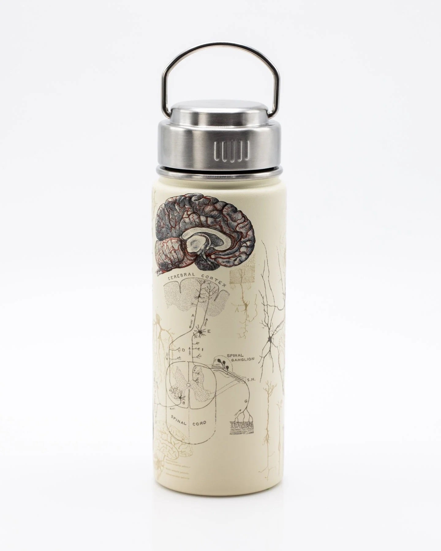 Cognitive Surplus Brain & Neuroscience Water Bottle - Thumbnail 4