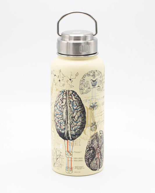 Brain & Neuroscience Water Bottle - 32 oz