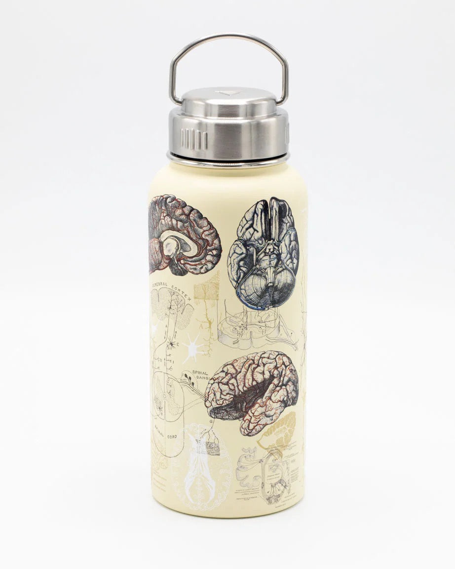 Cognitive Surplus Brain & Neuroscience Water Bottle