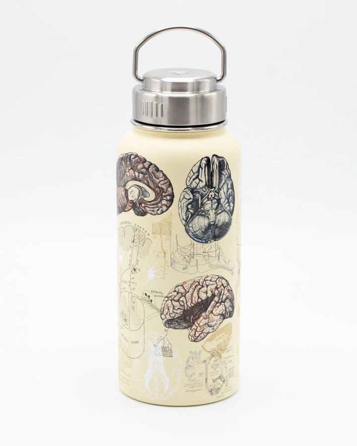 Brain & Neuroscience Water Bottle - 32 oz