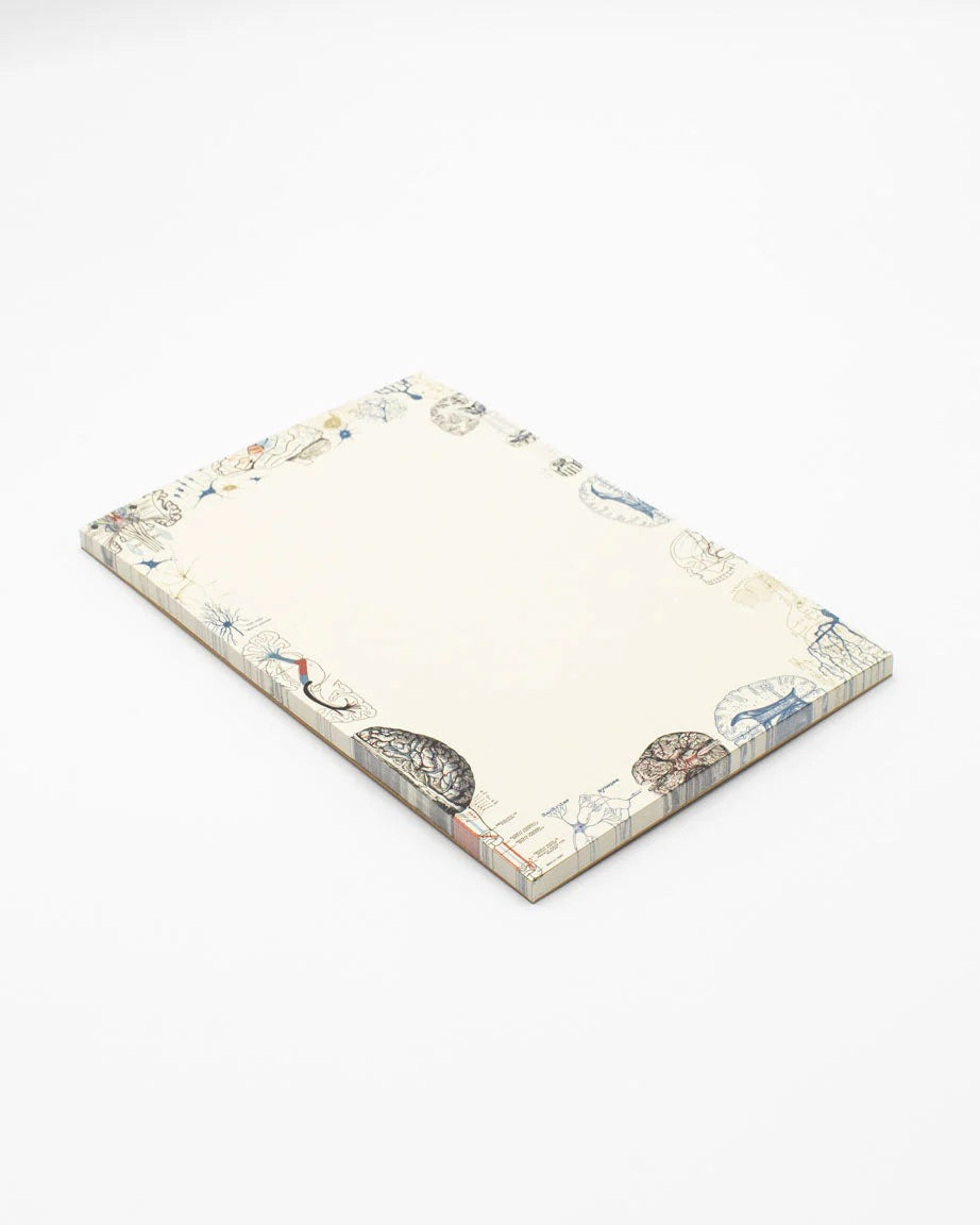 Brain Science Notepad