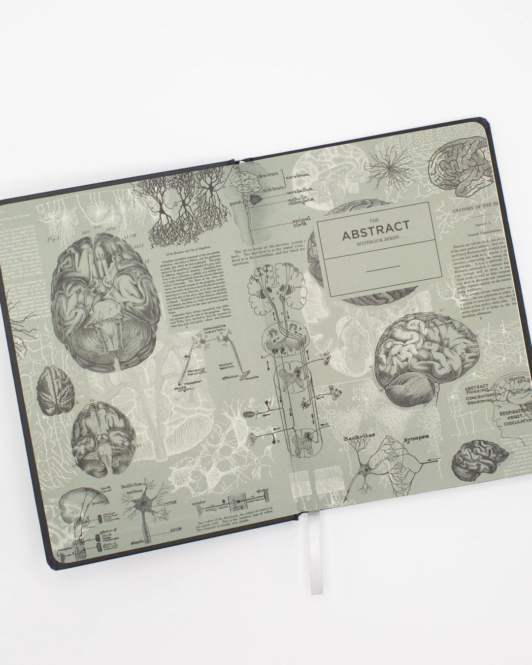 Brain Science Silver Journal