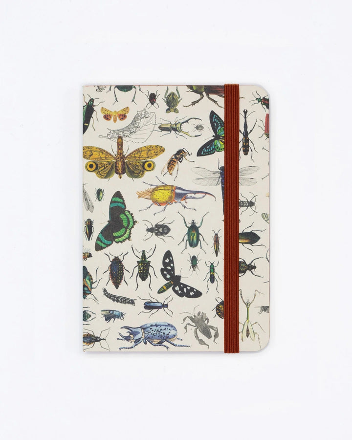 Butterflies & Beetles - Mini Observation Notebook