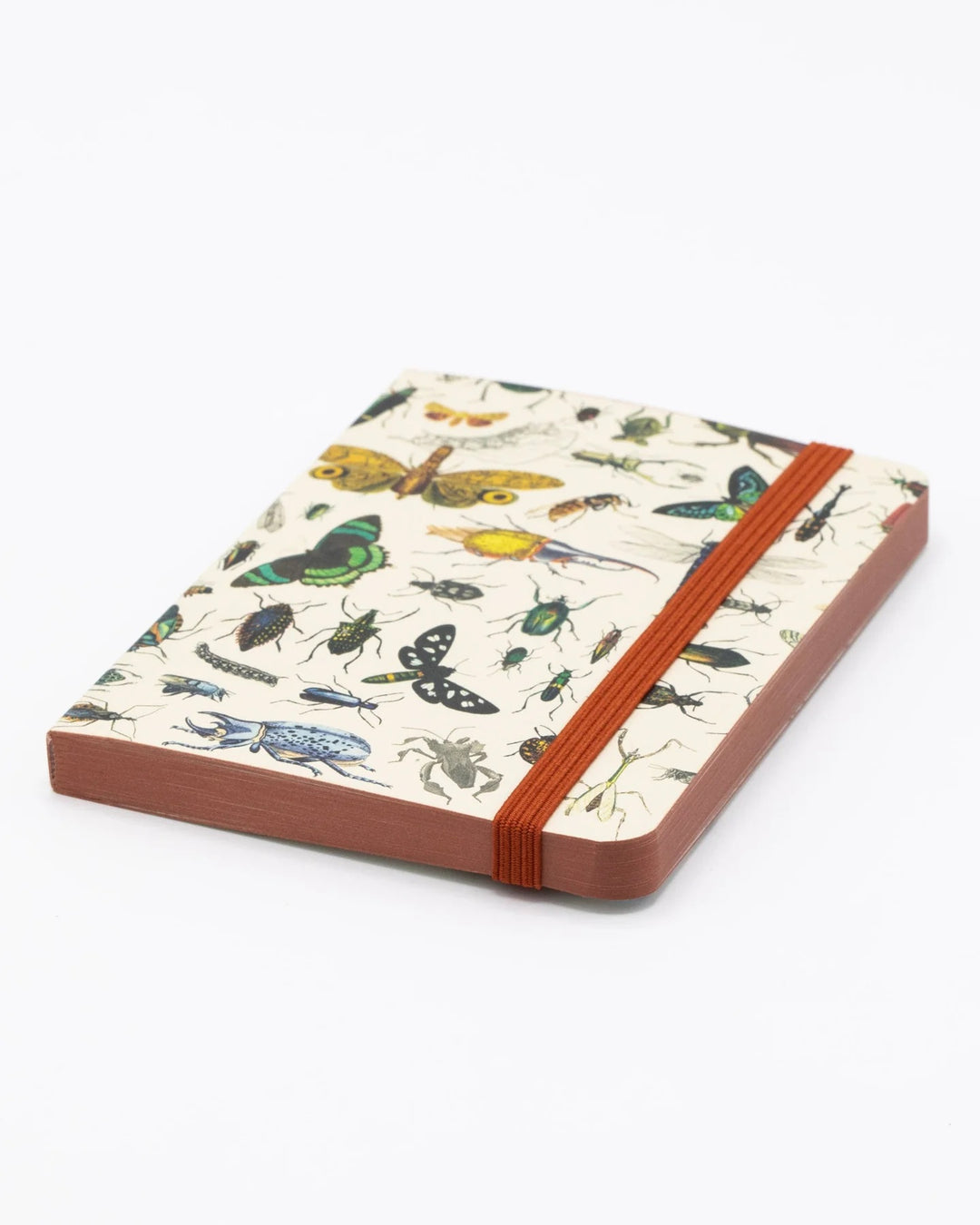 Butterflies & Beetles - Mini Observation Notebook