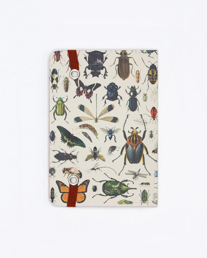 Butterflies & Beetles - Mini Observation Notebook