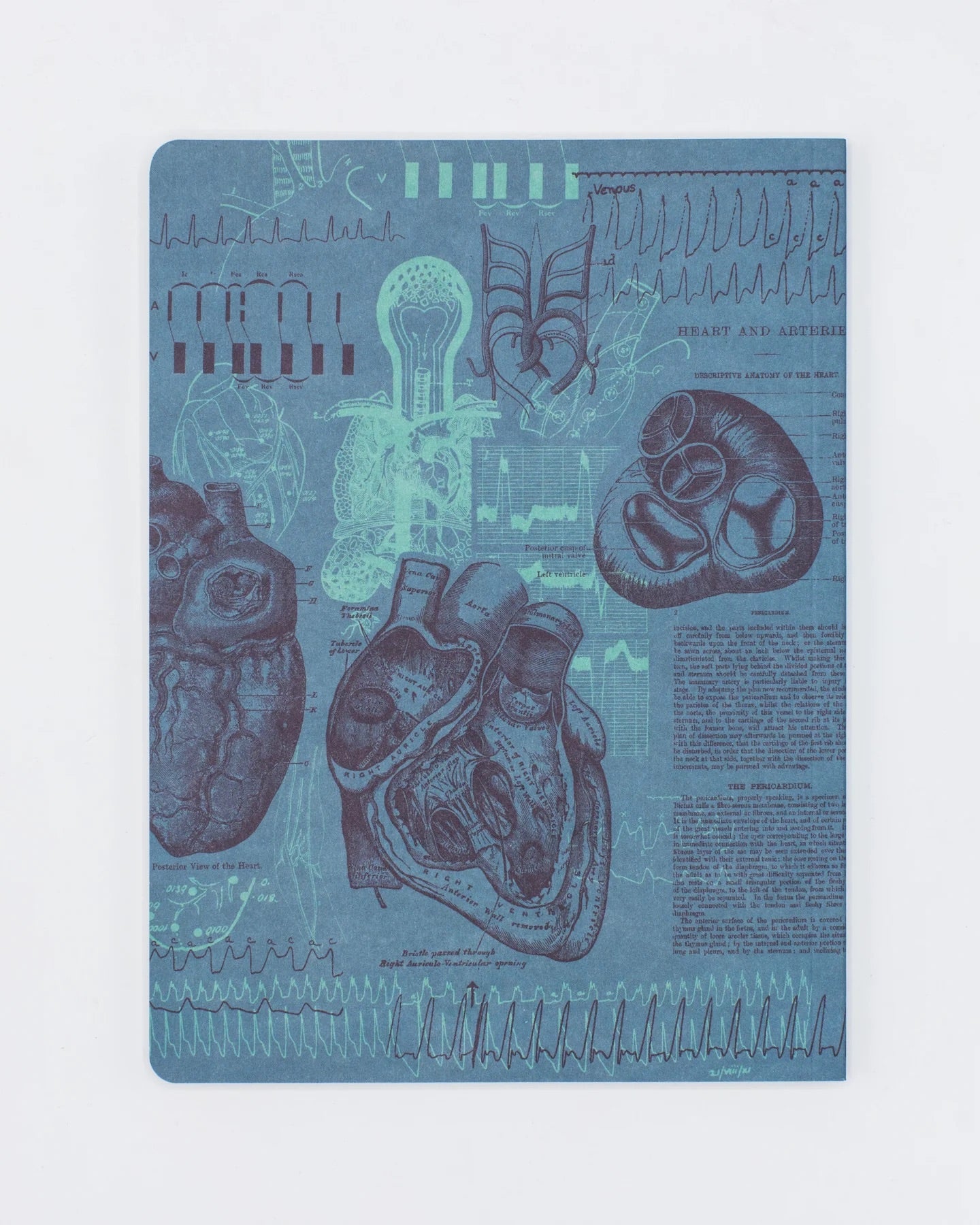 Cardiology Notebook