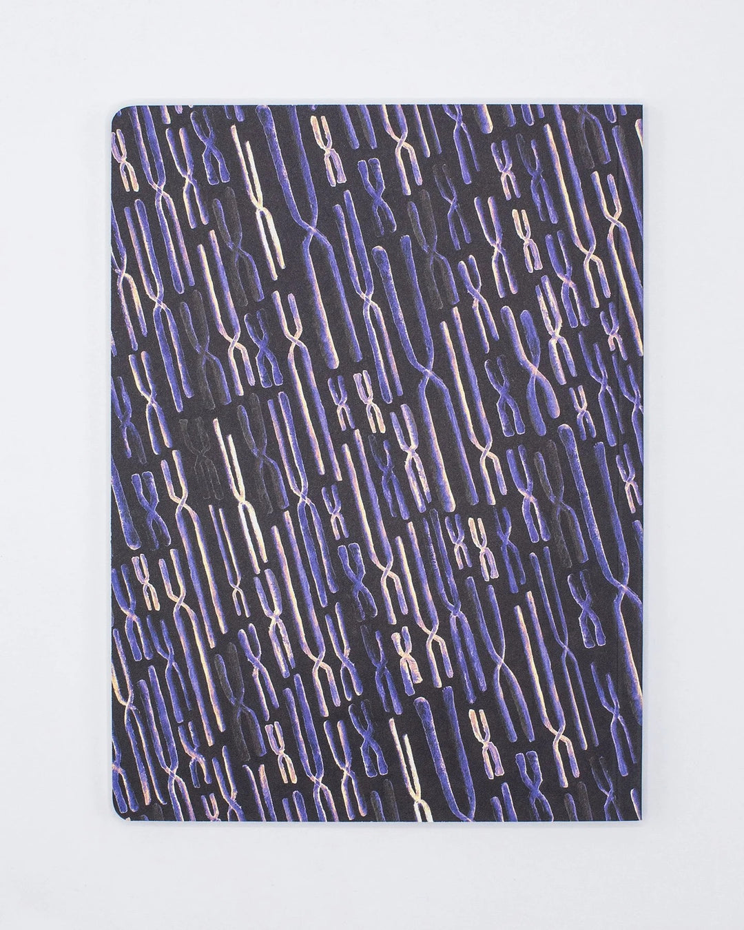 Chromosomes Notebook