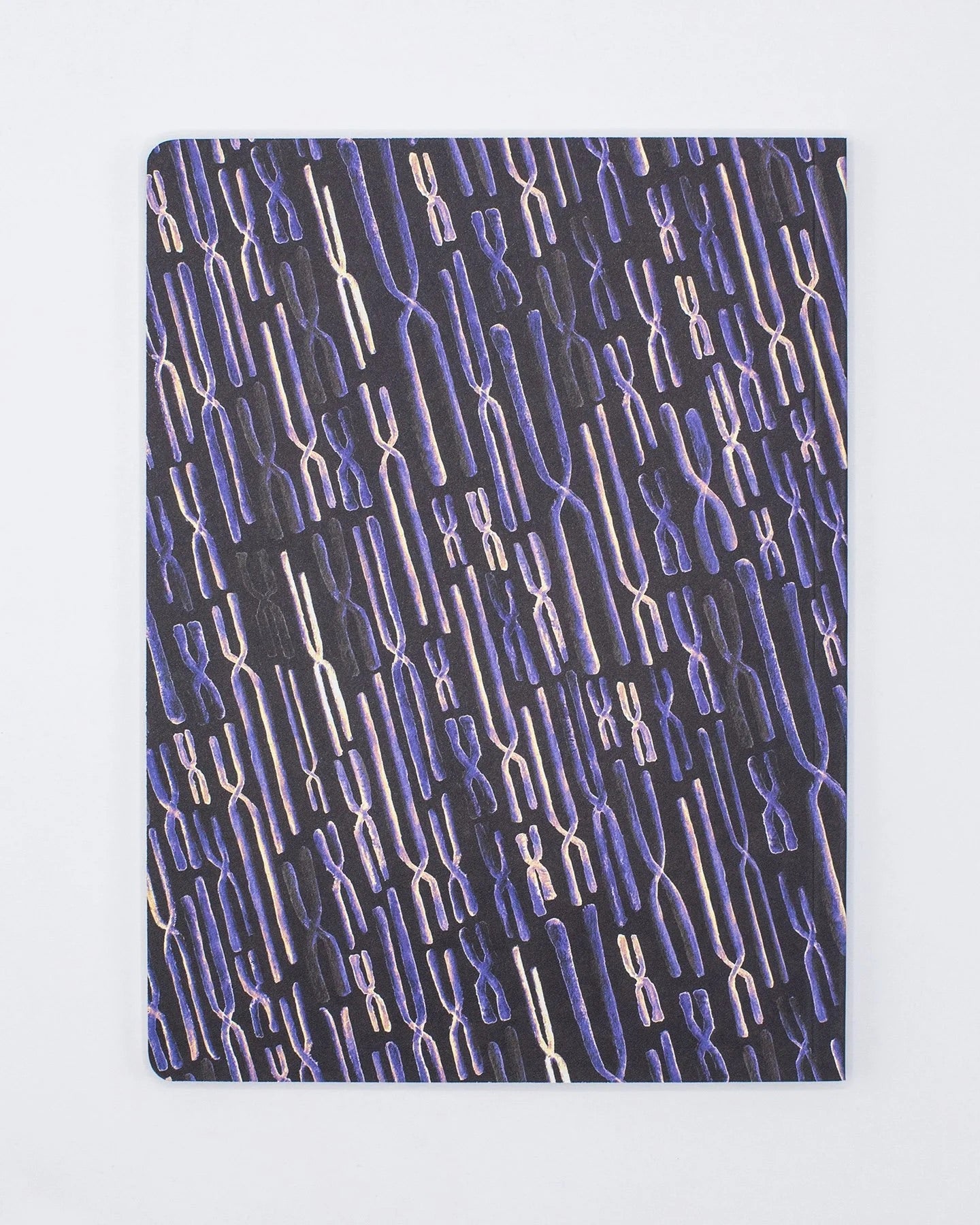 Chromosomes Notebook