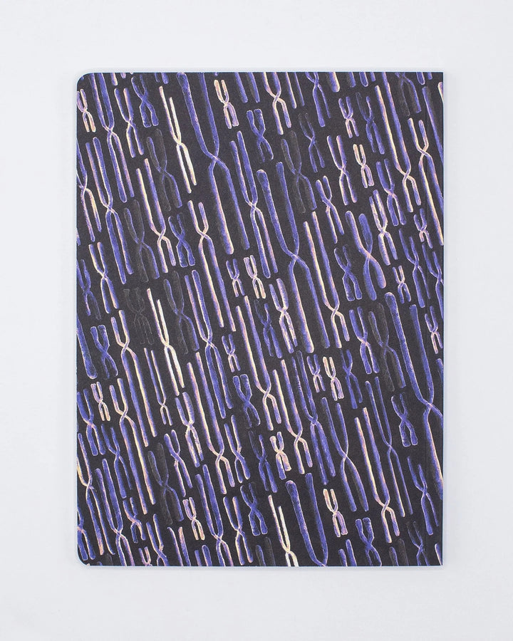 Chromosomes Notebook