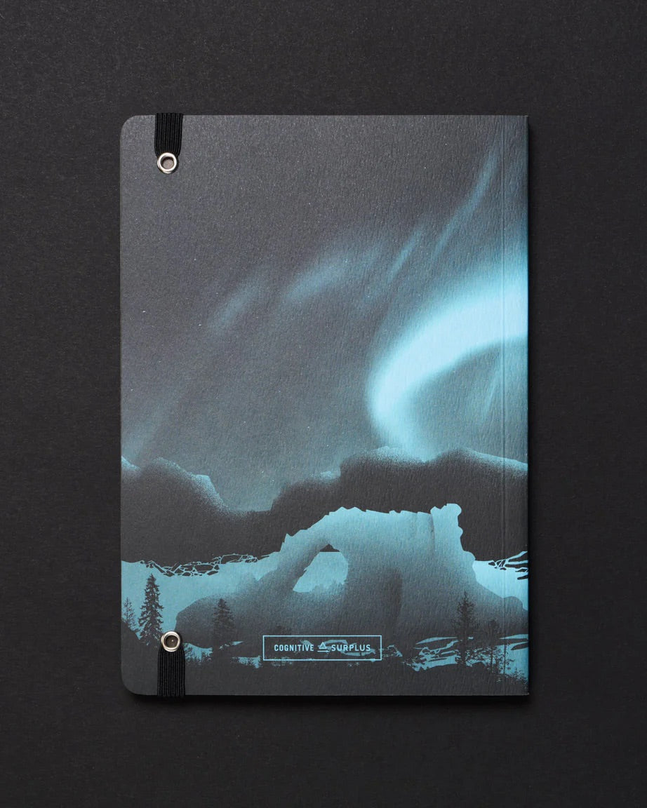 Arctic Ice Dark Matter Analysis Notebook