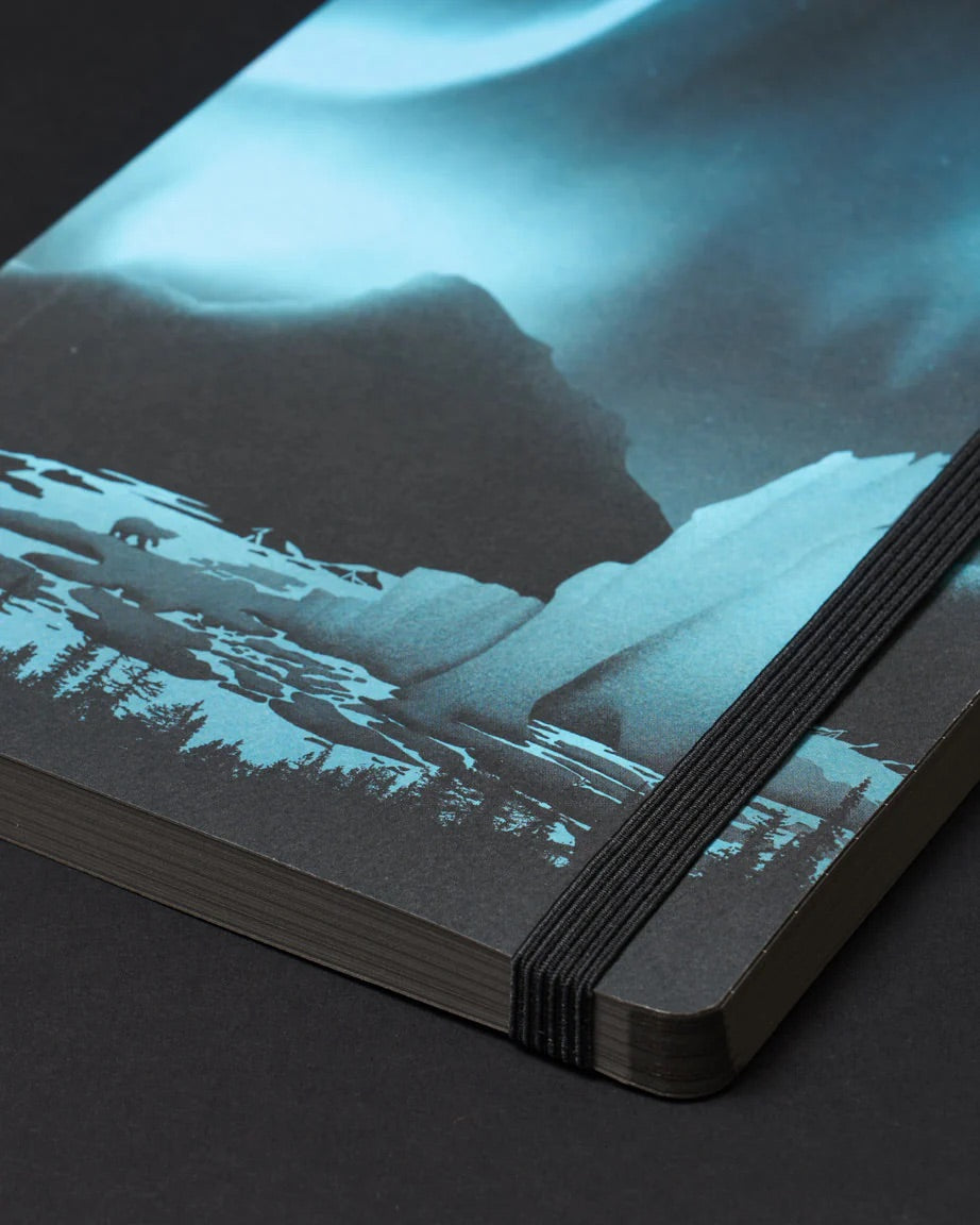 Arctic Ice Dark Matter Analysis Notebook