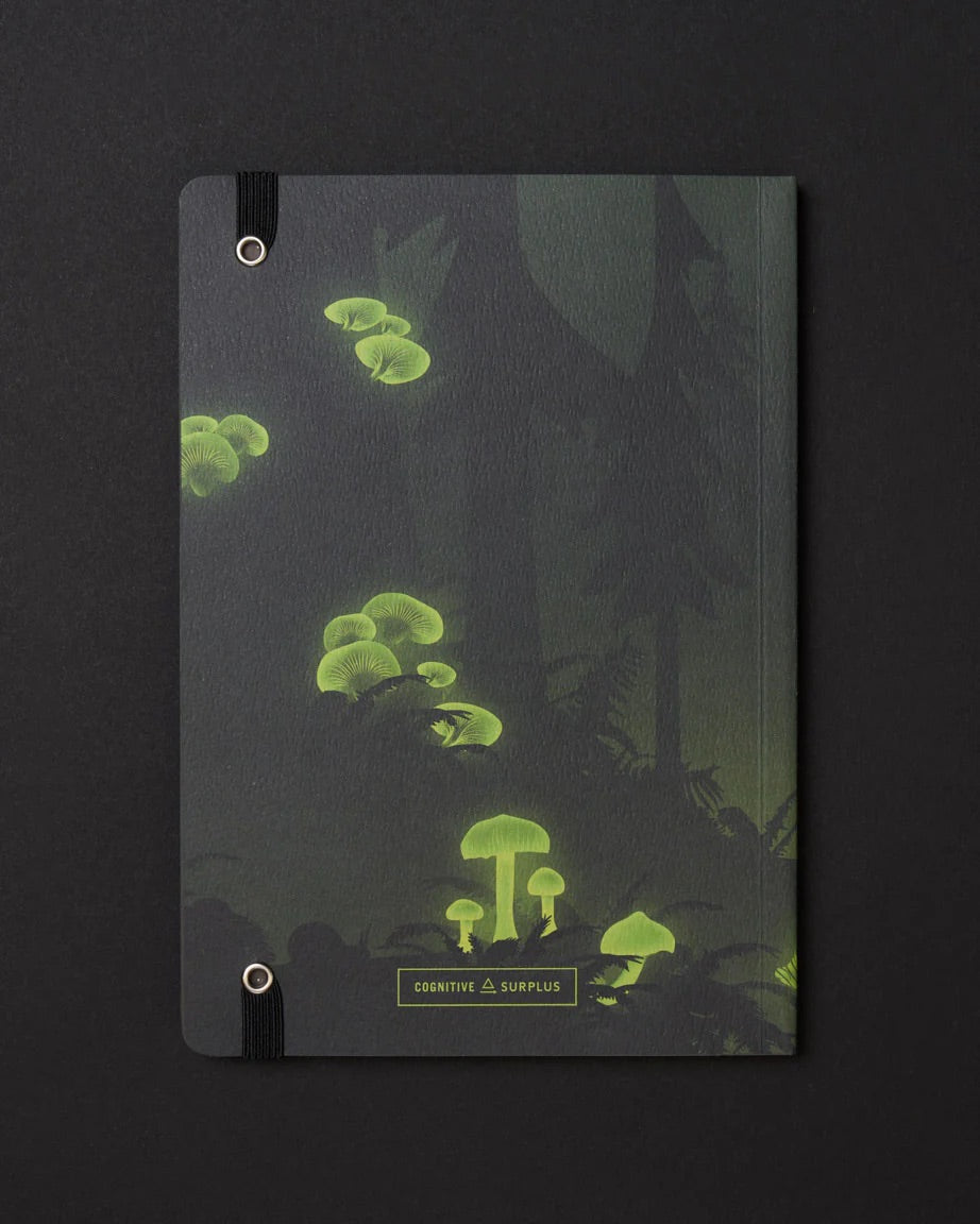 Bioluminescent Mushrooms Dark Matter Analysis Notebook
