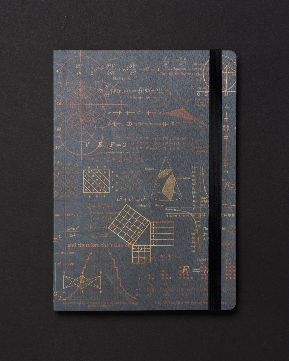 Equations that Changed the World Dark Matter Analysis Notebook