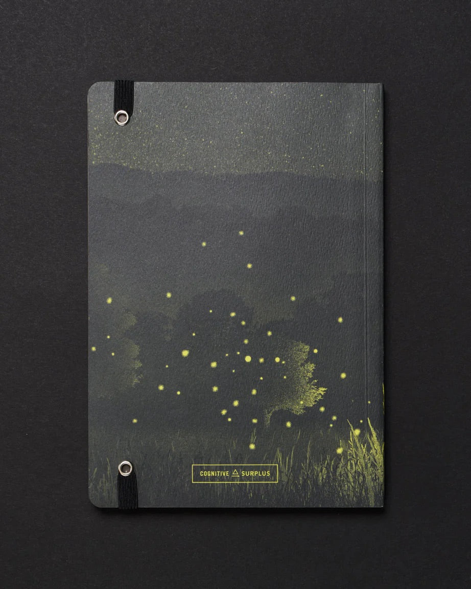 Firefly Meadow Dark Matter Analysis Notebook