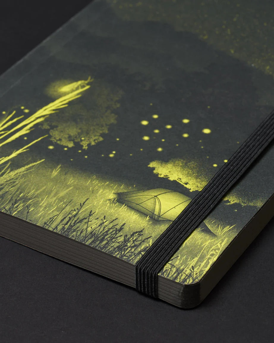 Firefly Meadow Dark Matter Analysis Notebook