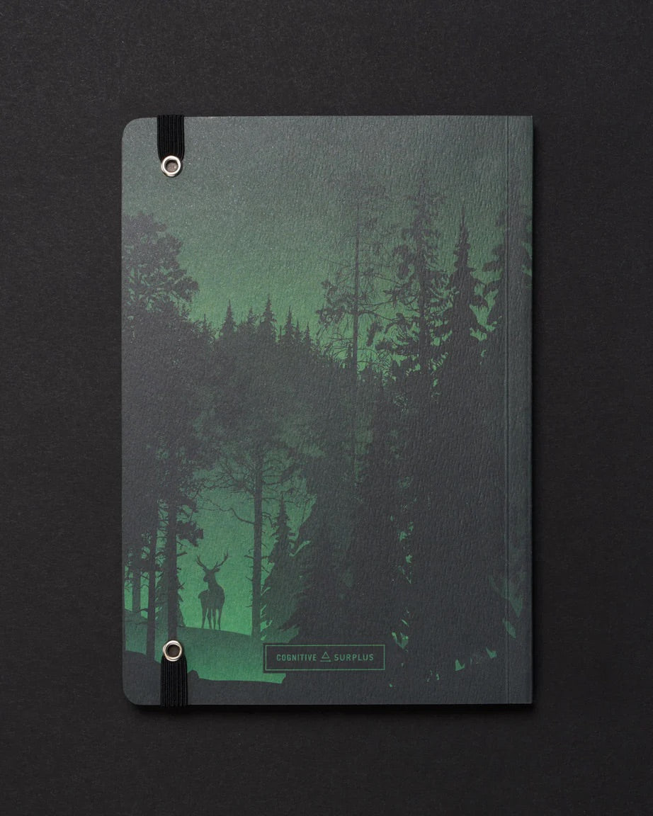 Evergreen Forest Dark Matter Analysis Notebook