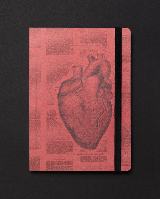 Anatomical Heart Dark Matter Analysis Notebook