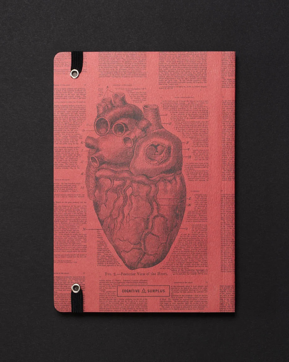 Anatomical Heart Dark Matter Analysis Notebook