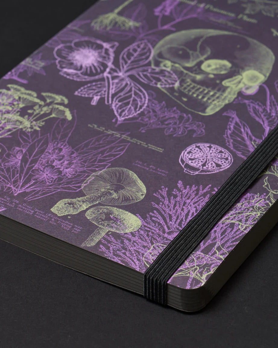 Poisonous Plants Dark Matter Analysis Notebook